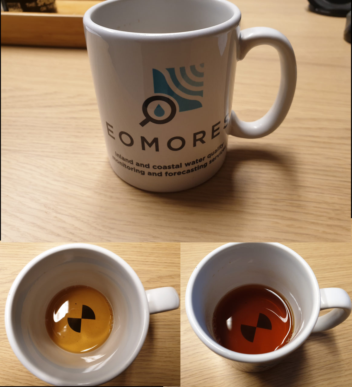 The EOMORES Secchi Mug (Photo by Evenflow)